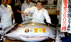 Hải sản Nhật đắt khét, có loại 6 triệu đồng/kg vẫn ‘cháy hàng’