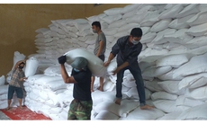 Xuất cấp hơn 478 tấn gạo hỗ trợ người dân tỉnh Gia Lai mùa giáp hạt