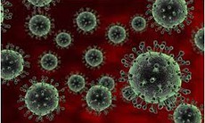 Nóng: Việt Nam xuất hiện ca cúm A(H5) trên người sau hơn 8 năm không ghi nhận