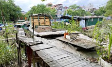 Hình ảnh "xóm nhà thuyền" ở Hải Phòng sau khi lên bờ 