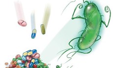 Vi khuẩn HP dạ dày bị kháng kháng sinh nên điều trị như thế nào?