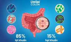 Hỗ trợ điều trị loạn khuẩn đường ruột bằng bào tử lợi khuẩn