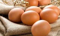Nên ăn bao nhiêu trứng là đủ để không ảnh hưởng xấu tới sức khỏe?