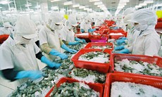 Việt Nam xuất khẩu nông sản vượt kỷ lục dù chưa hết năm 2022