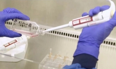 Anh: Lần đầu tiên truyền máu nuôi trong phòng thí nghiệm cho người
