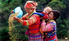 Dinh dưỡng trong một số trường hợp bệnh lý khi mang thai