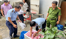 Phát hiện hàn the trong chả cá mè