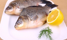12 lợi ích tuyệt vời của cá chép với sức khỏe