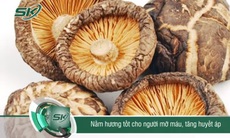 Nấm hương tốt cho người mỡ máu và tăng huyết áp