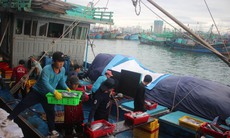 Ngư phủ Hòn Rớ tất bật ngày cuối năm