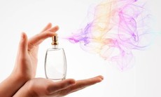 Tô vẽ thêm sắc màu sinh động từ hương thơm vào cuộc sống của bạn