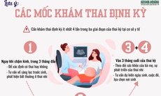 [Infographic] - Các mốc khám thai định kỳ cần lưu ý