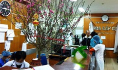 Trực tết