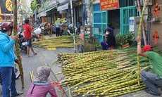 Mía vàng cực 'đắt hàng' trước ngày cúng vía Trời Mùng 9 tháng Giêng