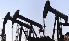 Căng thẳng Nga - Ukraine: Giá dầu thế giới lại lập đỉnh