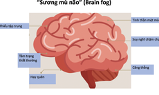 Hậu COVID-19: Vì sao có tình trạng 'nhớ nhớ quên quên', mất tập trung?