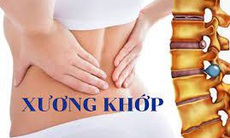 Bài thuốc chữa phong tê thấp từ cây hy thiêm 