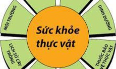 LHQ: Ngày 12/5 hằng năm sẽ là Ngày quốc tế Sức khỏe thực vật