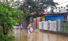 Mưa lũ trái mùa, vùng trũng ngập cục bộ, nông dân nguy cơ trắng tay 