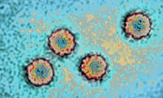 Thủ phạm gây ra căn bệnh viêm gan bí ẩn ở trẻ em có thể do adenovirus