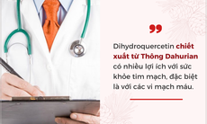 Dihydroquercetin & lợi ích trong phục hồi tổn thương ở người từng bị viêm đường hô hấp cấp