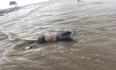 Thái Bình: Thi thể người đàn ông không đầu trôi dạt ở bãi biển Cồn Vành