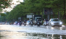 Hà Nội và các tỉnh lân cận chuẩn bị đón mưa giông, gió giật mạnh