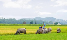 Nghỉ hè xưa và nay 