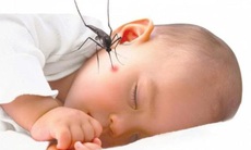 Cách chăm sóc trẻ mắc sốt xuất huyết tại nhà, cảnh giác biến chứng sốc dẫn đến tử vong