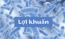 Hỗ trợ cải thiện rối loạn tiêu hóa nhờ men vi sinh từ Kim chi Hàn Quốc