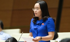 ĐBQH đề nghị ưu tiên nguồn lực đầu tư các tuyến quốc lộ đi qua địa bàn miền núi khó khăn