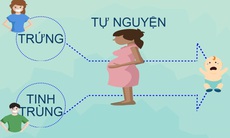 Kiểm tra, giám sát, ngăn chặn mang thai hộ vì mục đích thương mại