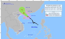 Bão số 1 giật cấp 14 cách Quảng Ninh khoảng 400km