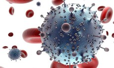HIV và AIDS khác nhau như thế nào, cách phát hiện sớm HIV