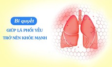 Bí quyết thảo dược của Mỹ hỗ trợ lá phổi yếu khỏe mạnh hơn