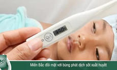 Miền Bắc: Sốt xuất huyết có nguy cơ bùng phát 