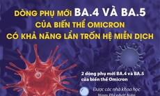 Hà Nội, TP HCM đã có ca COVID-19 nhiễm biến thể phụ BA.4, BA.5: Các chuyên gia khuyến cáo gì?