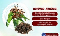 Khúng khéng – Hỗ trợ giải rượu và bảo vệ sức khỏe gan