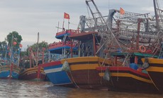 Tàu cá Quảng Bình về bờ hải sản đầy khoang, rác đầy túi để biển không bị ô nhiễm