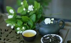 Cách tự làm trà hoa nhài và một số lưu ý dùng trà để tốt cho sức khỏe