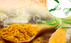 Tác dụng của nano curcumin tới việc hỗ trợ điều trị vi khuẩn HP