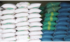 Xuất cấp hơn 1.370 tấn gạo cho Bình Định và Phú Yên để hỗ trợ người dân mùa giáp hạt