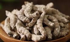 Tằm vôi trị nám da