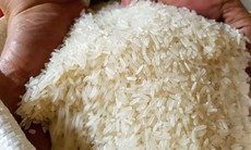 Ấn Độ cấm xuất khẩu, gạo Việt Nam tăng giá từng ngày