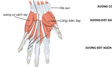 Thuốc điều trị đau do viêm khớp ngón tay