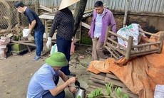 Dự báo: Sốt xuất huyết tại Hà Nội tiếp tục gia tăng, nguy cơ cao thành dịch lớn