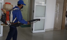 Đà Nẵng: Dịch sốt xuất huyết Dengue tăng cao nhất trong 5 năm qua