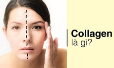 Collagen và những điều bạn cần biết