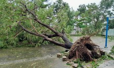 Đà Nẵng thiệt hại ra sao sau khi cơn bão Noru đổ bộ?