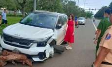 Gây tai nạn, nữ tài xế lái xe nổ bánh bỏ chạy bị phạt 70 triệu đồng